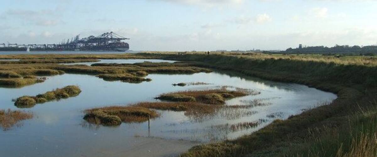 Salt Marsh Salt marsh on the River Orwell with Felixstowe Docks in the distance near to Shotley, Suffolk.