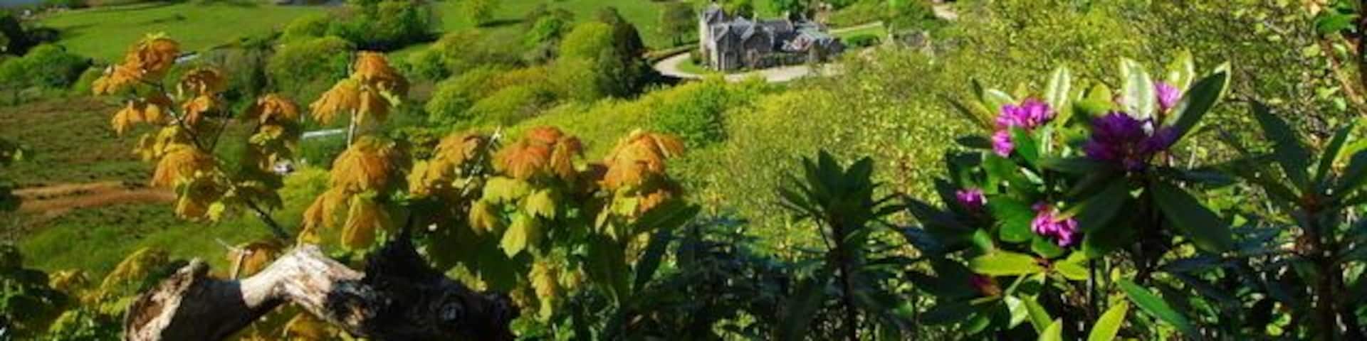 Lunga House & islands