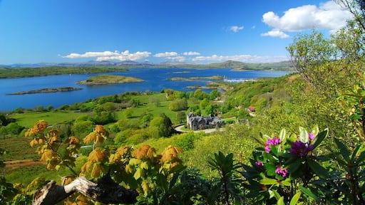 Lunga House & islands