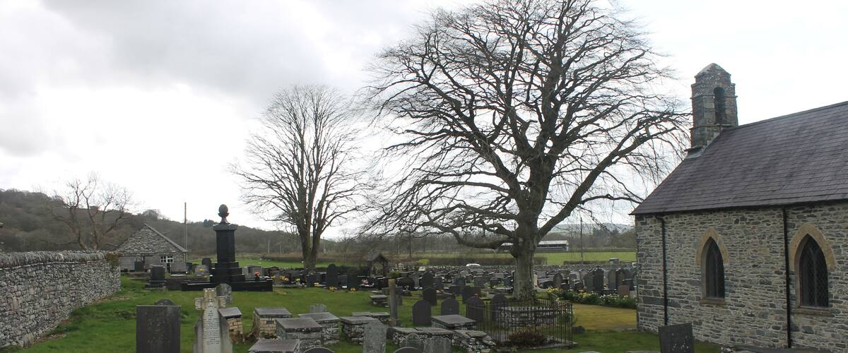 A cemetery with stone headstones, a church, and leafless trees.