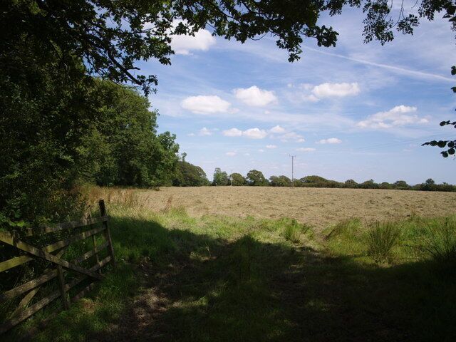 Field near Thornbury Seen from Thornbury Footpath 5, the field is bordered to the left by a small wood along the lane between Woodacott Cross and Thornbury.