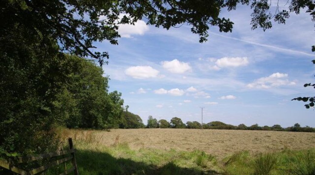 Field near Thornbury Seen from Thornbury Footpath 5, the field is bordered to the left by a small wood along the lane between Woodacott Cross and Thornbury.