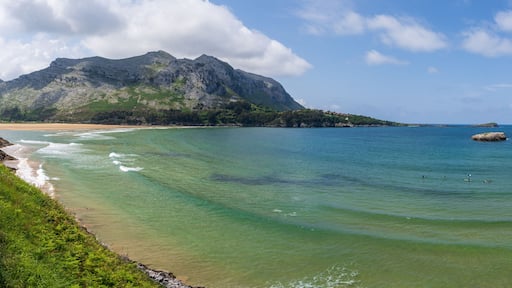 ์ค๋ฆฌ๋ฌ