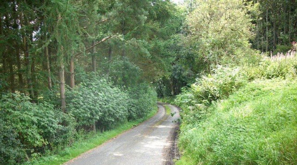 Road leading to Sundhope Farm Running off the A708.