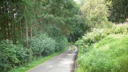 Road leading to Sundhope Farm Running off the A708.