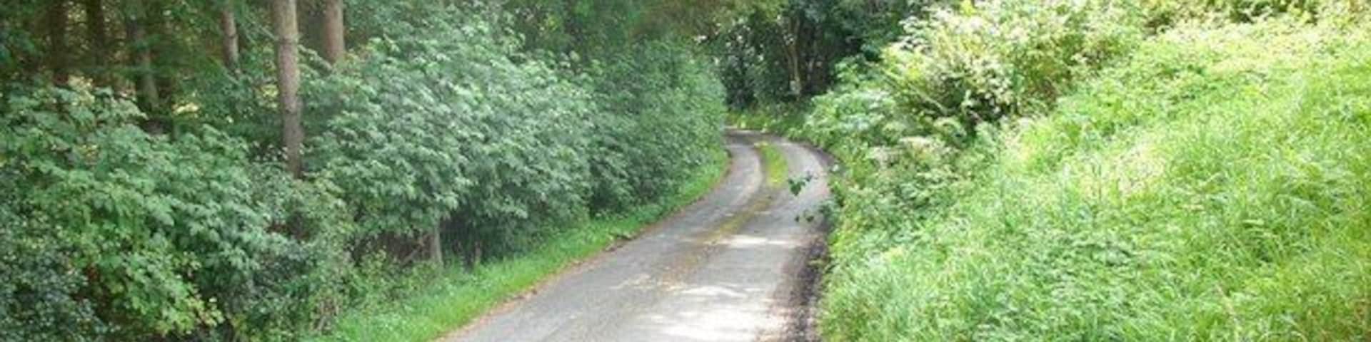 Road leading to Sundhope Farm Running off the A708.