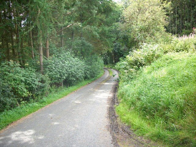 A narrow, winding road surrounded by dense forest.