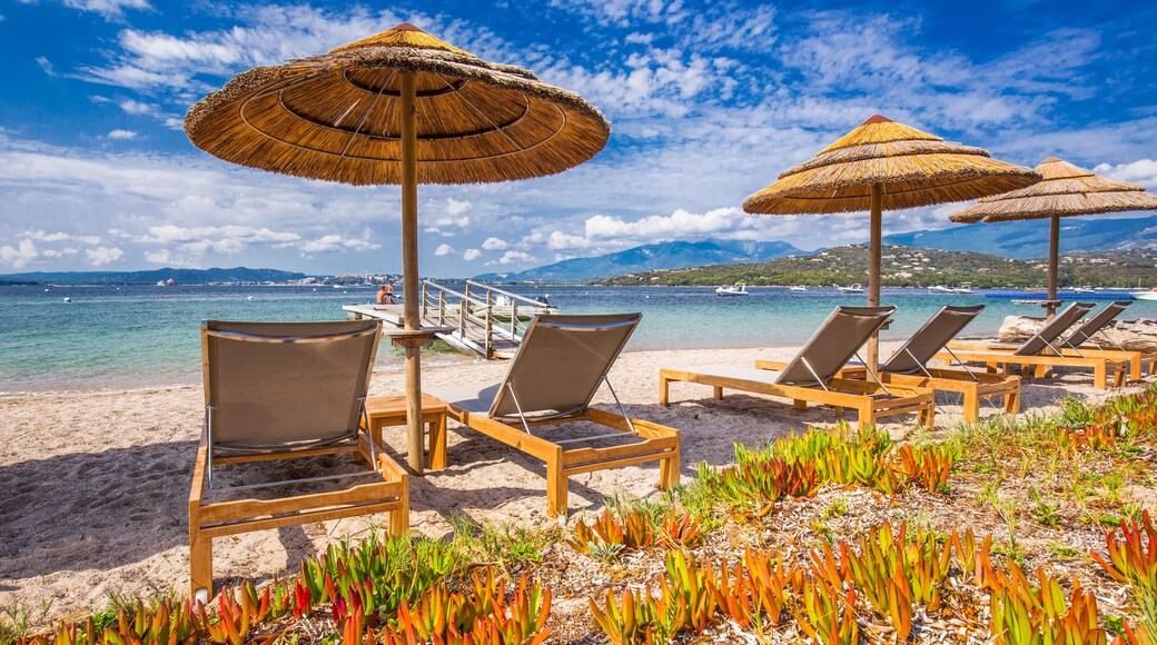 Beach chairs on a white sandy beach in San Ciprianu, Corsica, France, Europe