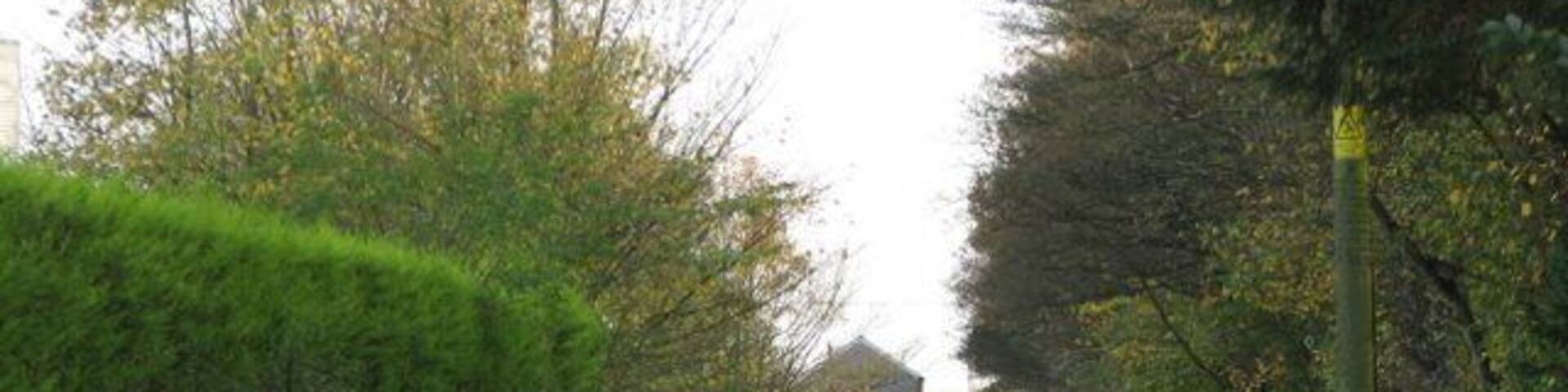 Bolton's Cop A road going out on to the mosslands. I'm not sure of the derivation of the name Cop for a road but maybe the original track was on a raised bank because the ground was too boggy.