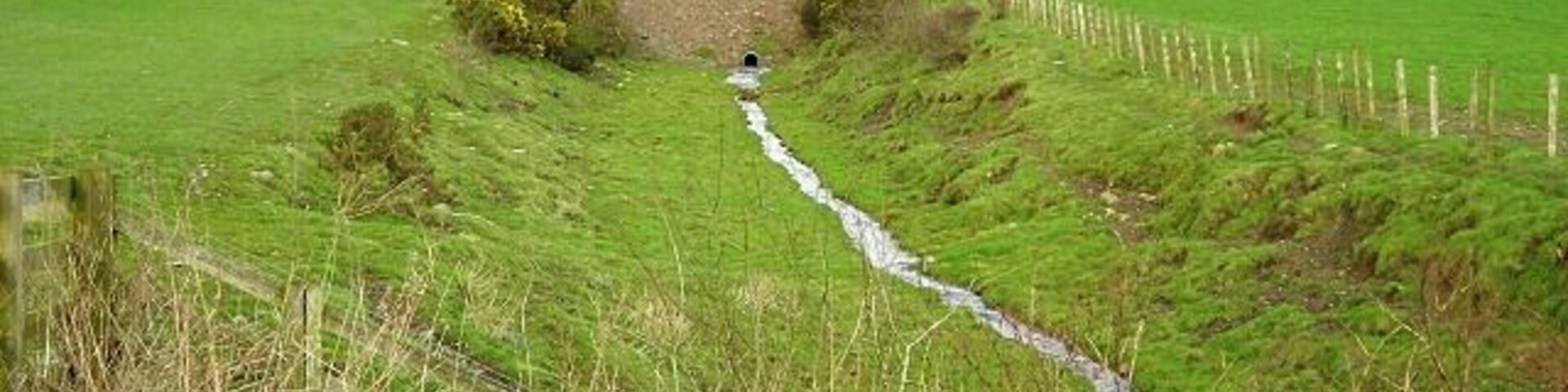 Remains of Cutting on Dismantled Railway Near Amisfield