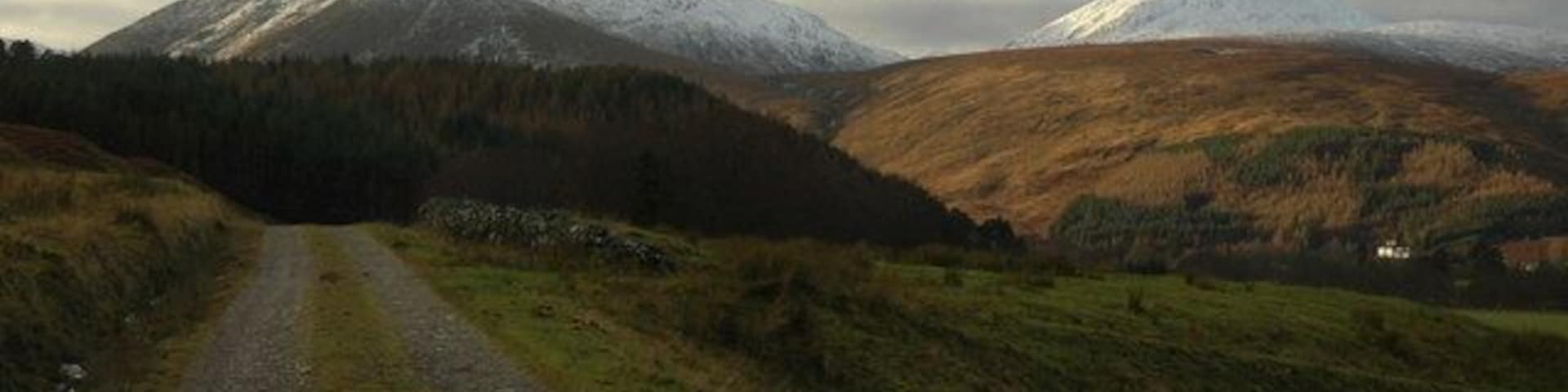 track to Dalbreac lodge The track to Dalbreac lodge with an area of coniferous forest visible as marked on map. Creag Ruadh can be seen in the distance (above track)