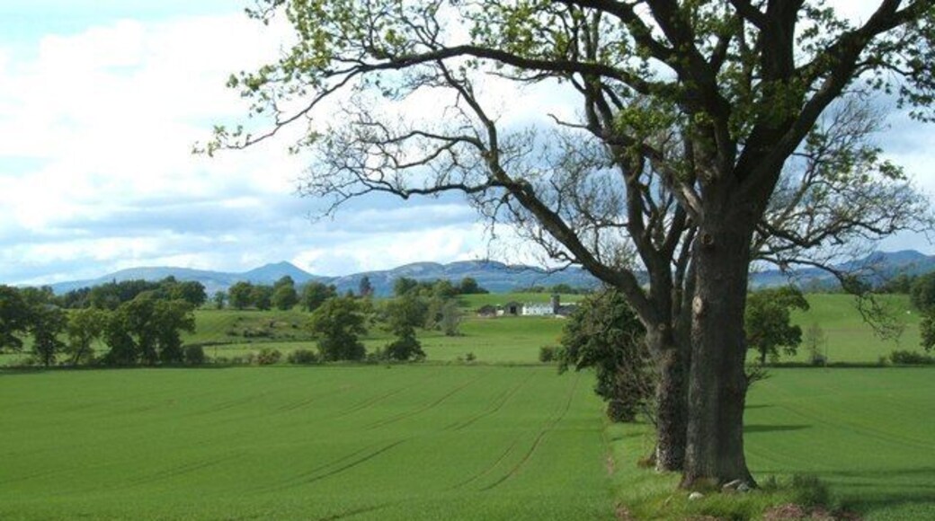 West of Arnprior Looking N/W from the A811, west of Arnprior