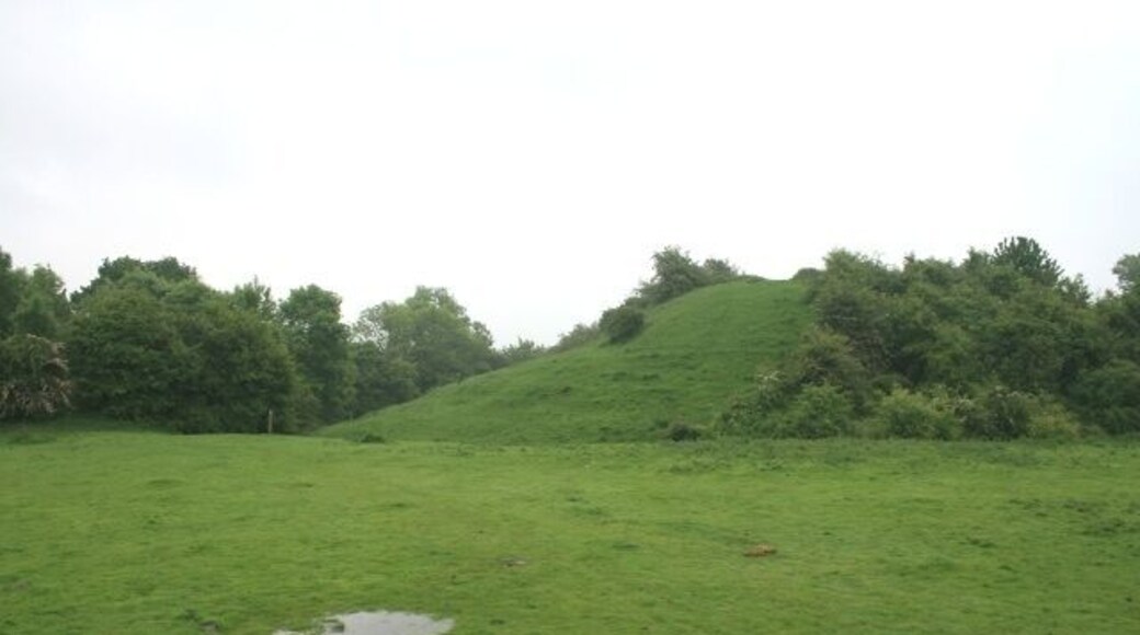 Brinklow Castle This motte was put up in the early twelfth century. The photo is taken from a ditch which severs the bailey into two parts.