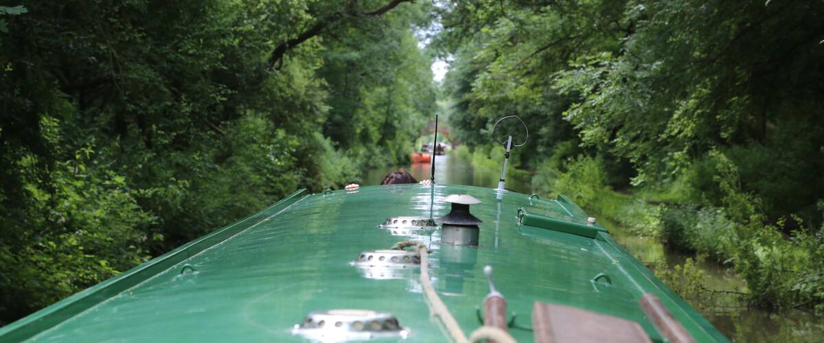 A green boat on a narrow waterway surrounded by dense green foliage.