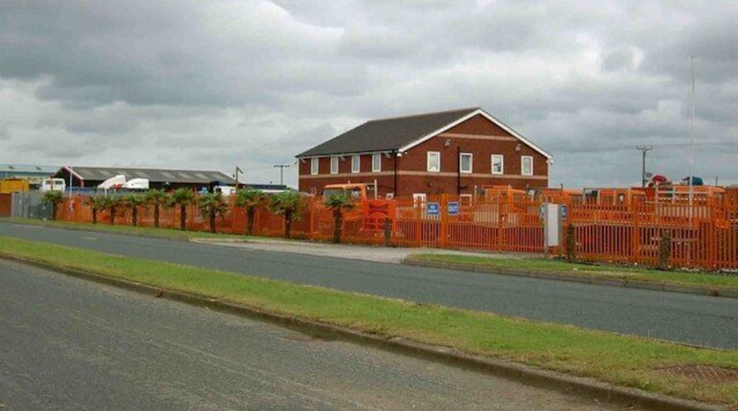 The palm fringed verges of Lancaster Road, Carnaby, East Riding of Yorkshire, England. Advanced Scaffolding's frontage of palms.