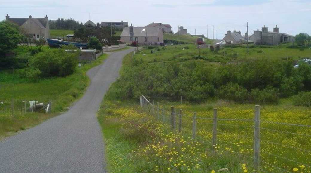 Inner Coll. The single track road which winds through the villages of Inner Coll and Vatisker.