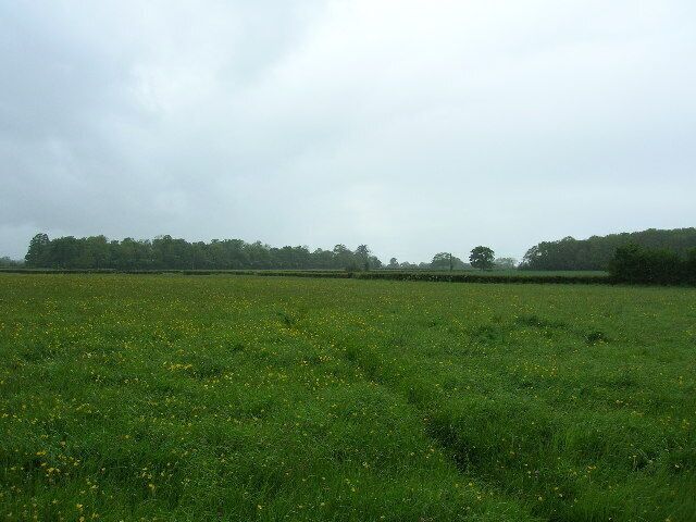 Near Drayton. Looking north eastwards across rich grassland towards Park Meads