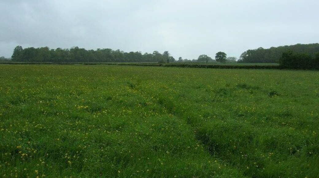 Near Drayton. Looking north eastwards across rich grassland towards Park Meads