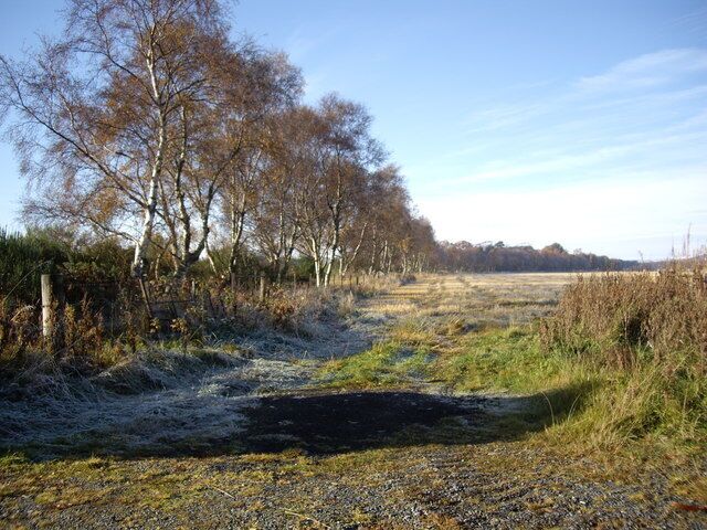 Line of the old Alford railway Marked by the line of trees to the left.