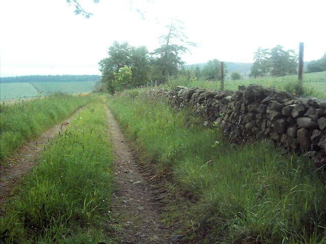 Estate Road One of the many roads on Whitehouse Estate.