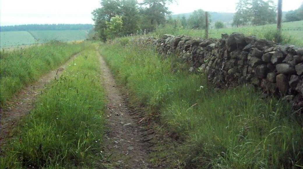 Estate Road One of the many roads on Whitehouse Estate.