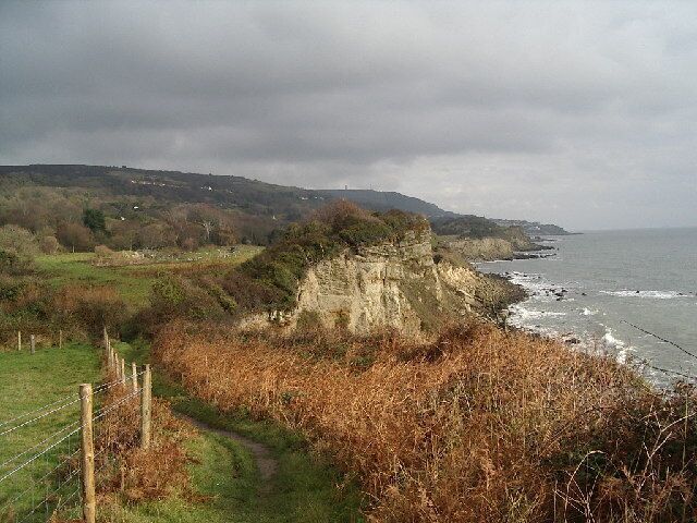 Coast south of Niton looking east. The photo shows the Isle of Wight Coastal path just west of Niton looking east towards Ventnor. The path makes a complete circuit of the Isle of Wight, to a large extent on clifftop and sea-side paths.