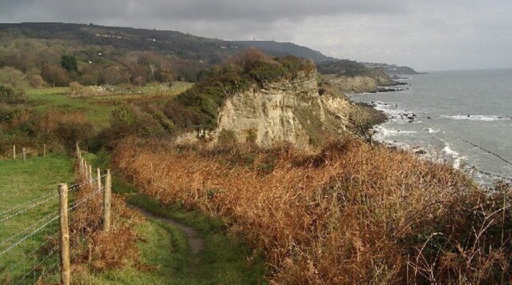 Coast south of Niton looking east. The photo shows the Isle of Wight Coastal path just west of Niton looking east towards Ventnor. The path makes a complete circuit of the Isle of Wight, to a large extent on clifftop and sea-side paths.