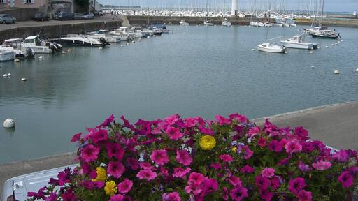 Un puerto con numerosos barcos amarrados, un faro y un edificio de fachada rosa.
