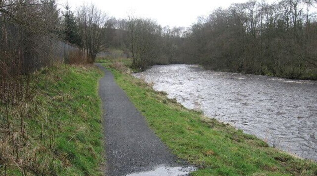 River Ayr Way at Catrine