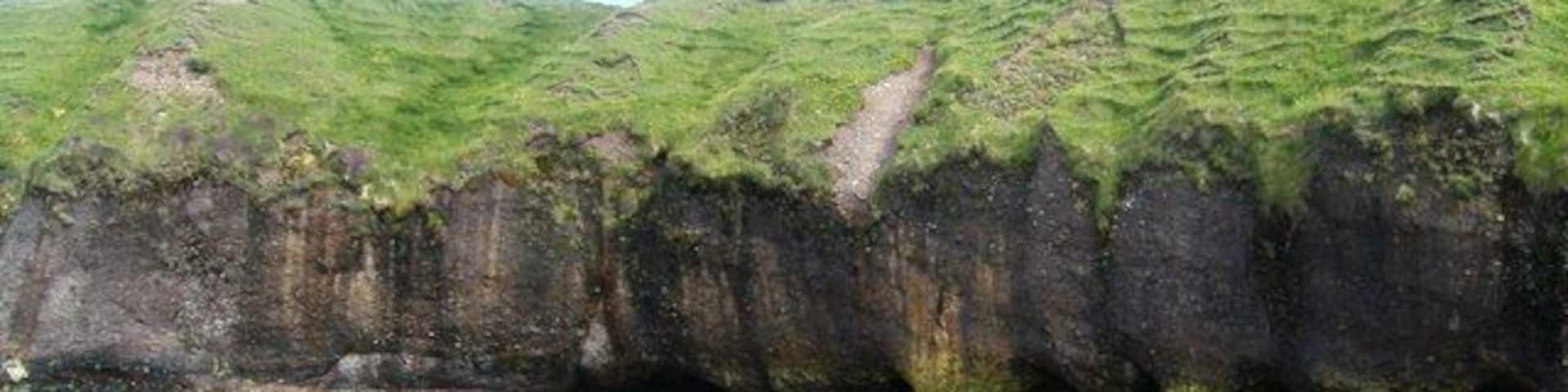 Cliff Undercutting at Roisinis. This picture, taken from a rocky outcrop, shows extensive undercutting of the cliffs. Cliff erosion is a major problem in the local area but this photograph depicting the erosion along with the blue sea and grass creeping down the cliff shows the damage as attractive rather than destructive.