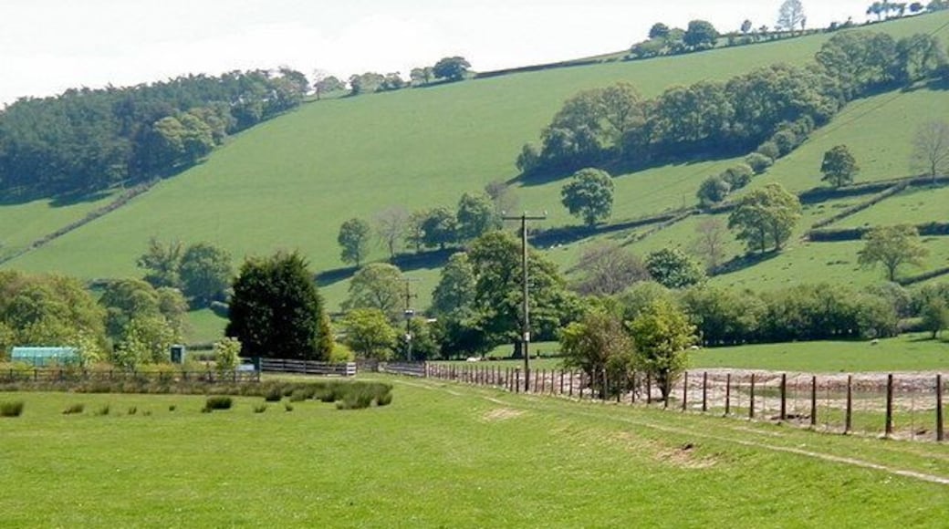 Van Railway Track bed, near to Y Fan, Powys, Great Britain. The track bed can be seen alongside the fence. The railway ran from Van to Caersws, its main purpose being to service the lead mine near here. The mine closed in the 1920's and presumably so did the railway.