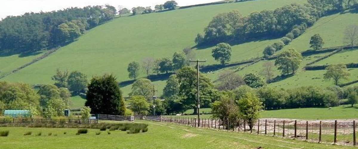 A green field with a fence, trees, and a hill in the background.