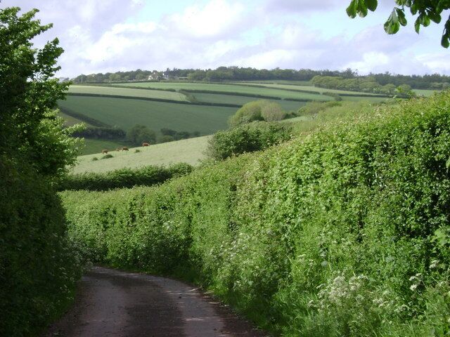 Bend in the lane to Hamblecombe Barton A downhill bend allows a view across a patchork of fields up to a property called Rixford, just in SX9078, on the southern edge of Ideford Common.