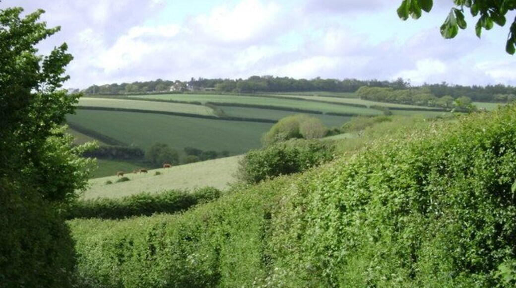 Bend in the lane to Hamblecombe Barton A downhill bend allows a view across a patchork of fields up to a property called Rixford, just in SX9078, on the southern edge of Ideford Common.