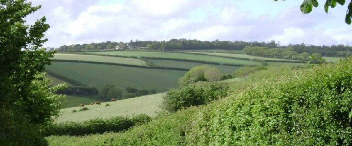 Bend in the lane to Hamblecombe Barton A downhill bend allows a view across a patchork of fields up to a property called Rixford, just in SX9078, on the southern edge of Ideford Common.