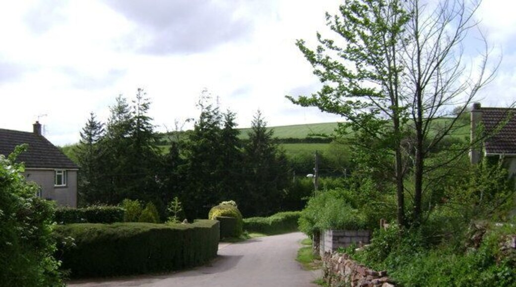 Approaching Hamblecombe Barton, north of Luton Beyond the turnings the attention to detail and the exotic conifers are a visual shock after nearly 2km of country lanes.
