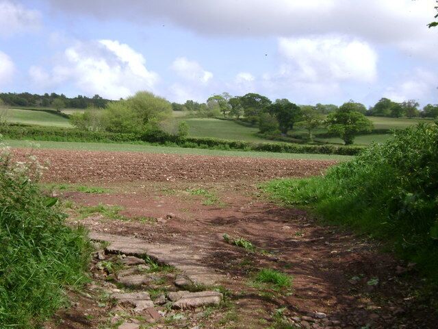Ploughed field near Luton From the lane that runs up to the north end of Luton there is a view beyond the field of the road from Little Haldon to Luton wiggling down the hill between trim hedges and lined with hedgerow oaks.
