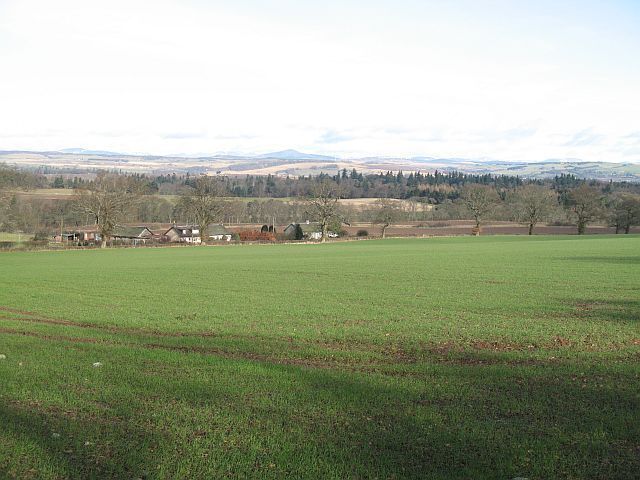 Cargill A row of houses alongside the A93 in the background. Large arable field, probably barley.