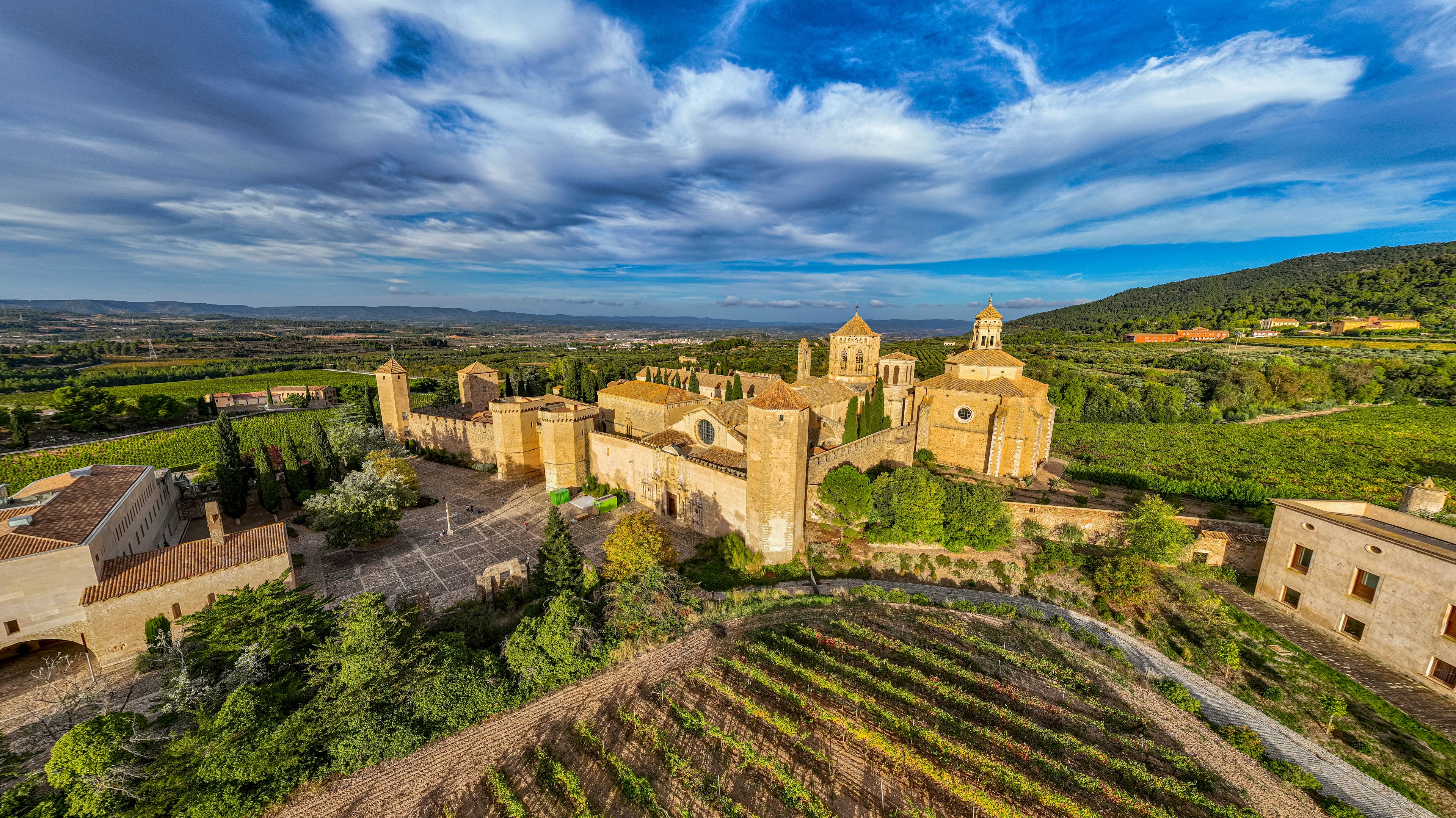 A historic castle surrounded by vineyards and a clear sky.