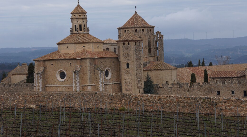 Monestir de Santa Maria de Poblet (Vimbodí i Poblet)