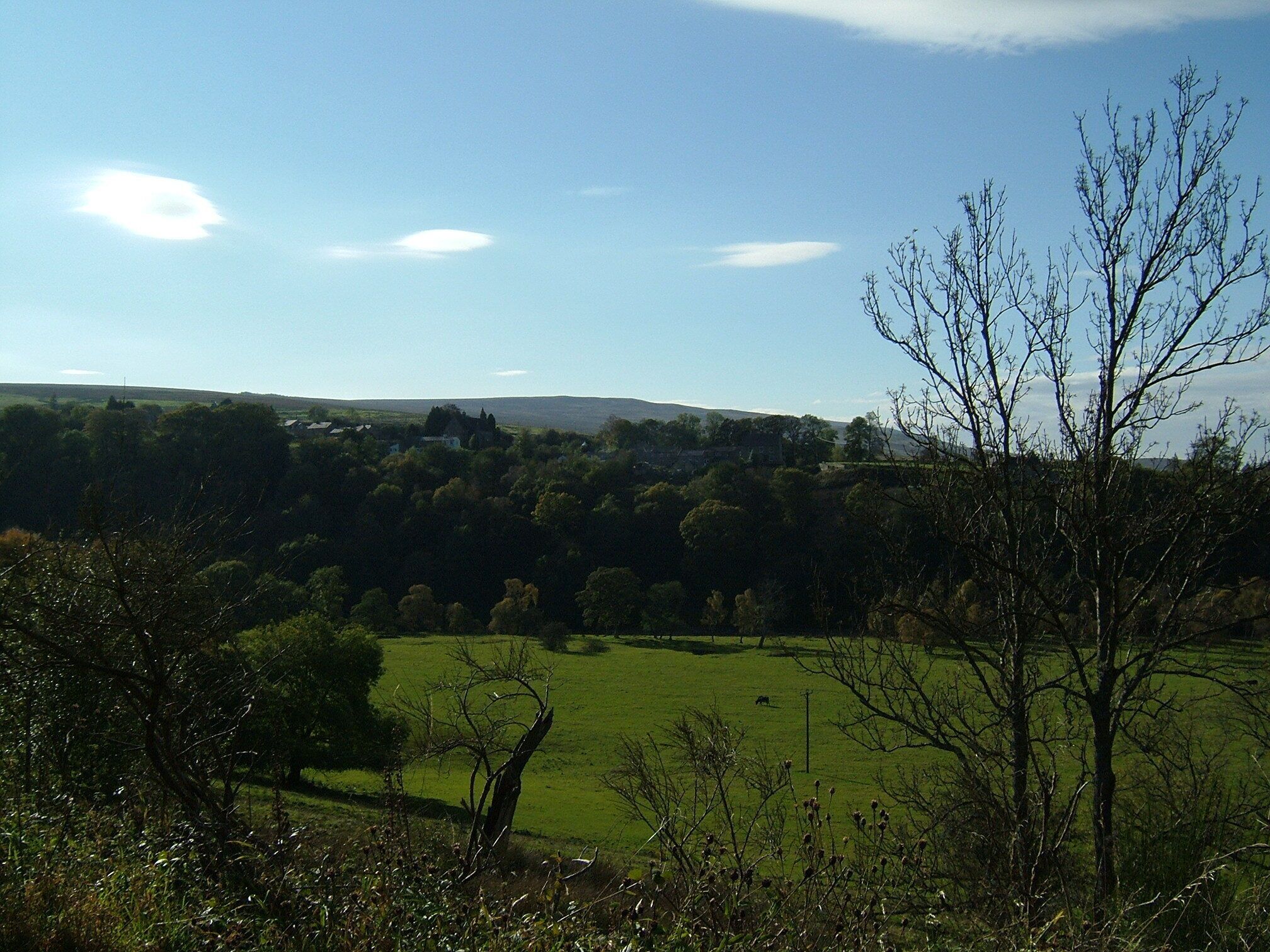 A rural landscape with rolling hills, a clear sky, and scattered trees.