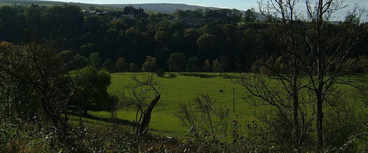 A rural landscape with rolling hills, a clear sky, and scattered trees.