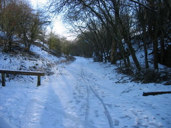 South Tyne Trail at Coanwood Car Park The former Haltwhistle to Alston Railway Line is now a cycle and walking route.