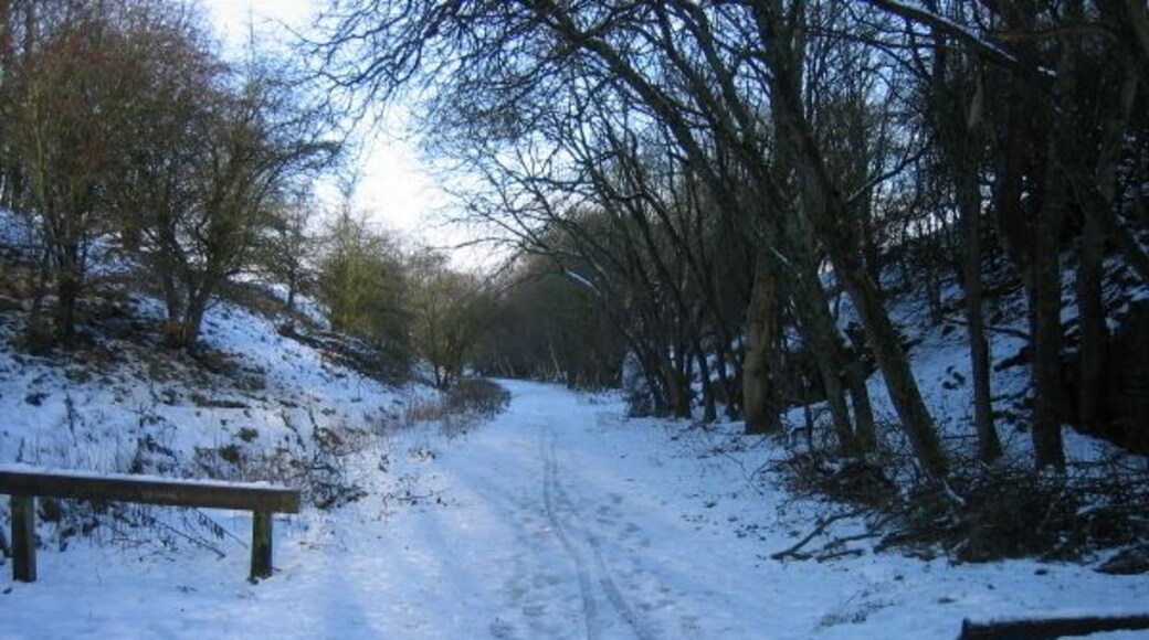 South Tyne Trail at Coanwood Car Park The former Haltwhistle to Alston Railway Line is now a cycle and walking route.