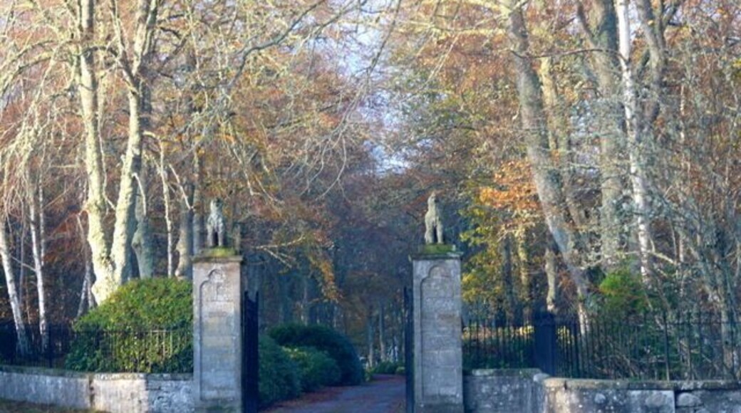 Gates to Gledfield House