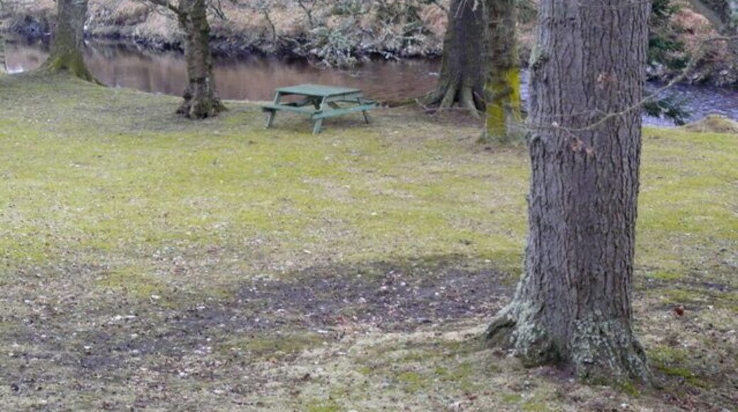 Picnic spot by the River Carron