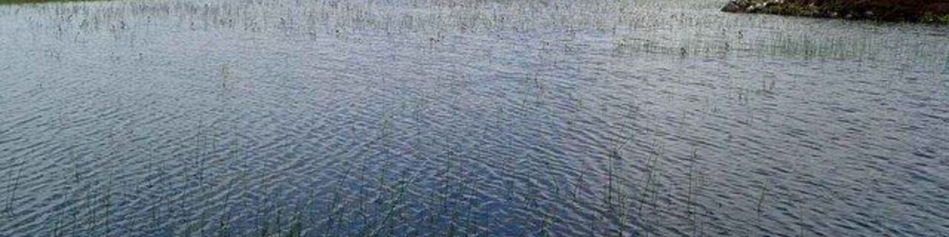 Un lago tranquilo rodeado de colinas y vegetación escasa.