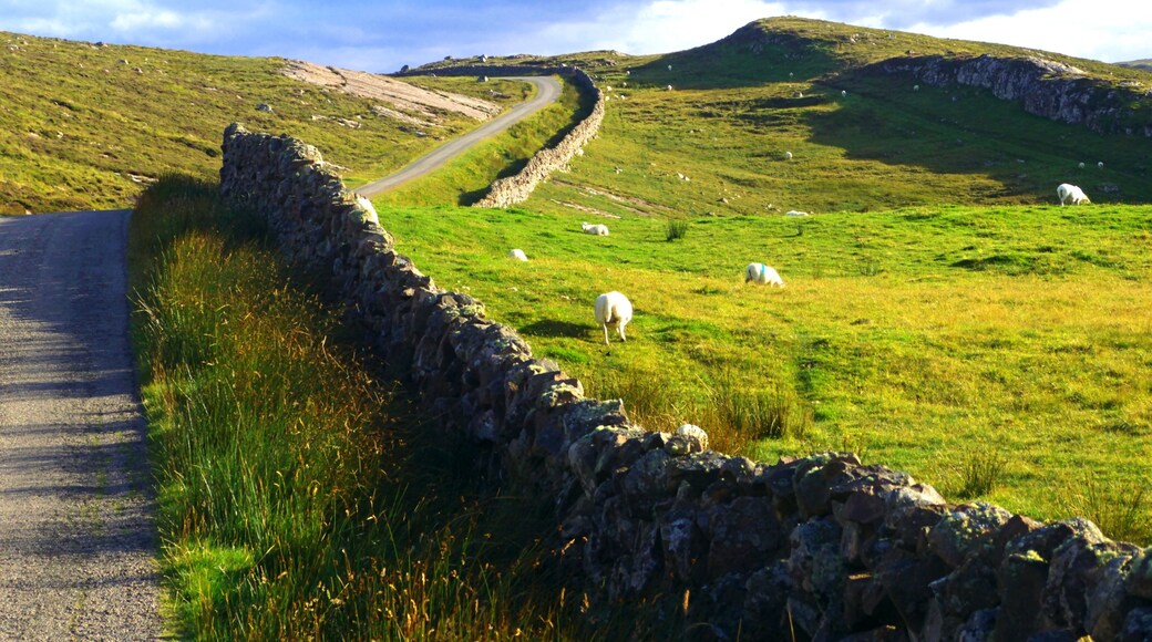 Wall And Single Track Road
