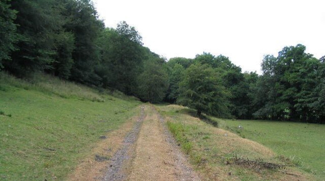 Dismantled railway line, Ffrith. This was called the Wrexham and Minera Joint Railway - even though it doesn't appear to have connected those places. The line was owned jointly by the London and North Western Railway and the Great Western Railway.