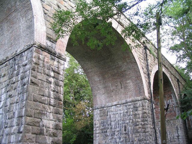 An old stone bridge with arched supports and a tree growing through it.